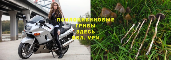 мескалин Алексин