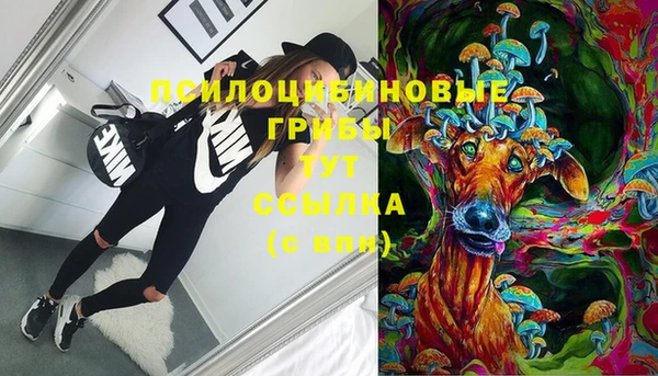 мескалин Алексин