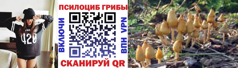 Галлюциногенные грибы Psilocybe  MEGA ТОР  Поронайск  купить закладку 